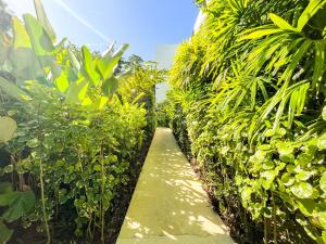 Bangtao Beach Gardens Penthouse