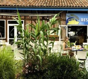 Campings Chalet Camping Les Vignes : photos des chambres