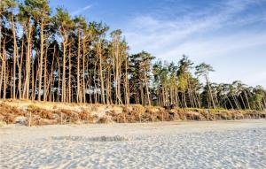 Stunning Home In Kopalino With Wifi