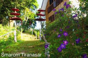 Hughome Valley ChiangDao