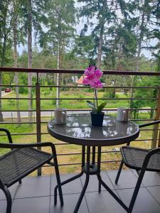 Apartamenty Poddąbek- basen kryty, sauna, animacje dla dzieci , małpi gaj, baseny na dachu