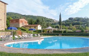 Il Marinocchio Di Malatesti