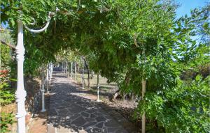 Amazing Home In Camaiore With Kitchen