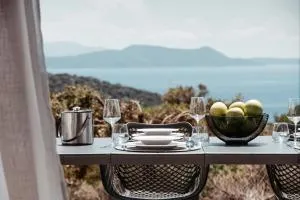 Mesogi Villas, brand new modern, stylish villas, private pool, seaviews - 梅加尼西岛