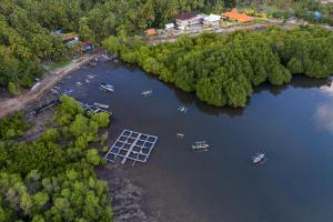 Mangroove Bay Boutique Hostel