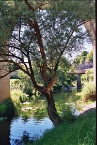 Room & Apartment Plitvička 42 