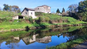 Appartements cosy avec vue jardin, calme et confort garantis : photos des chambres