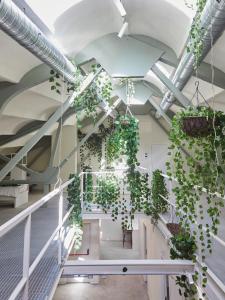 Ola Living Hostal Tetuan