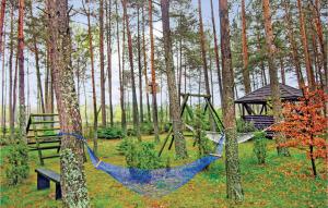 Holiday Home Dziemiany Radun