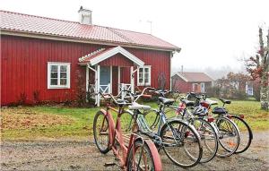 Stunning Home In Svenljunga With Wifi