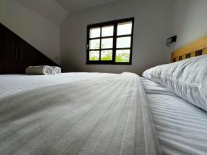 Restoran Lisine - Resavska pećina