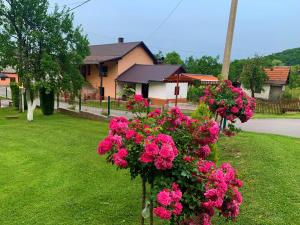 Guesthouse Diva Grabovčeva