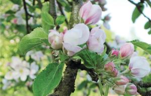 Amazing Home In Perstorp With Sauna