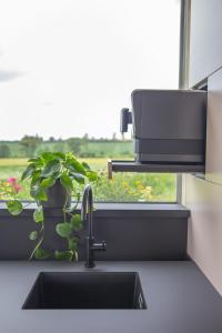 Ubytování na Poli designu