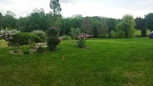 Chambre avec entrée indépendante dans un écrin de verdure - Civrieux-dʼAzergues