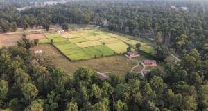 Atulya Kanchi Camp Bandhavgarh