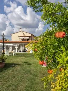 Colorado Home - Ospedaletto