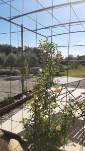 B&B / Chambres d'hotes Mas le Jas : Studio Lit King-Size Deluxe