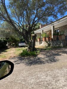 Maisons de vacances Villa vue mer luxury au coeur de Porto Vecchio : photos des chambres