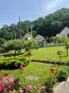 Apartman Jošanička Banja - Baljevac