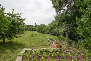 Maisons de vacances Maison De Vacances Avec Piscine : photos des chambres