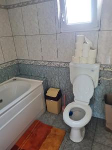 Casa Serban