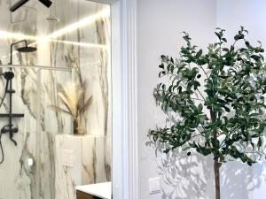 Vaineikio Apartamentai