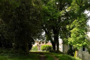 B&B / Chambres d'hotes Chateau de Gouyas : photos des chambres