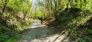 Residenza La Ruota Tulipano