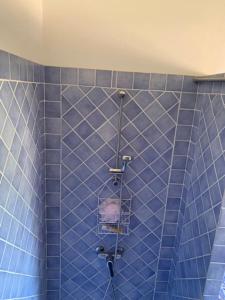Appartements Appartement F2 prive dans villa : Appartement 1 Chambre