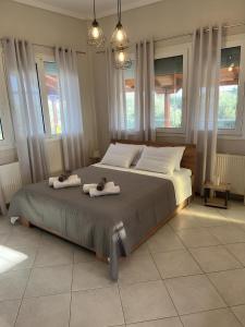 Jacques Boutique Suite