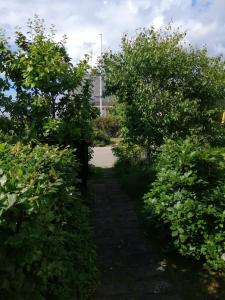 Minihus til havn, strand, vand og by i Gilleleje