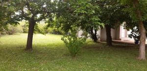 Appart'hotels Residence Valledoro : photos des chambres