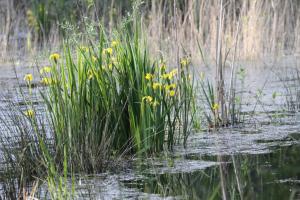 Chalets Le refuge de Chambord : photos des chambres
