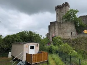 Schäferkarrenpark Adler- und Wolfspark Kasselburg - Pelm