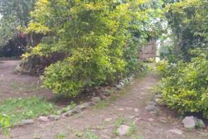 1st Floor Bambú Huasi & Gardens