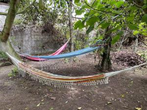 1st Floor Bambú Huasi & Gardens