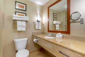 Queen Suite - Non-Smoking room in Comfort Suites Sarasota-Siesta Key