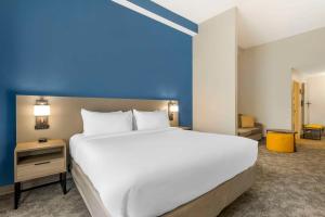 Comfort Suites Sarasota-Siesta Key