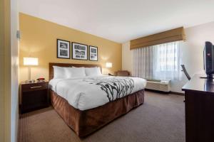 Standard King Room - Non-Smoking  room in Sleep Inn & Suites Bismarck I-94