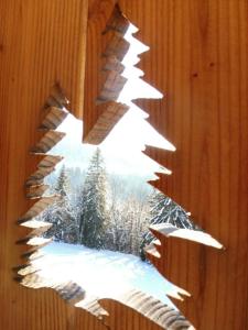 Chalet le Haut Meix, 12-14 personnes, vue lac, billard, sauna, accès facile aux pistes, en pleine nature, 3 sdb