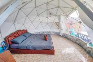 ภูวิมาน ม่อนแจ่ม