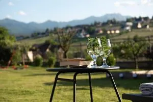 Folkowy Dworek SPA & Fun - 穆扎希赫尔