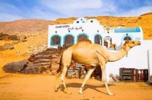 قارب اسوانى - Aswân Reservoir Colony