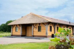 Boldiek - 泽尔赫姆