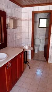 SEAHORSE healing effect