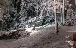 Cozy Apartment In Crinitzbergbärenwalde