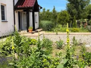 Pokoje gościnne Neptunia - Nacmierz