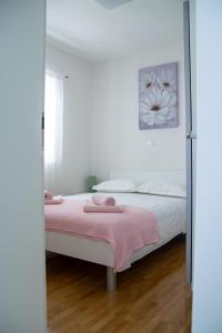 Villa Macanovi dvori with private pool