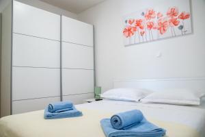 Villa Macanovi dvori with private pool